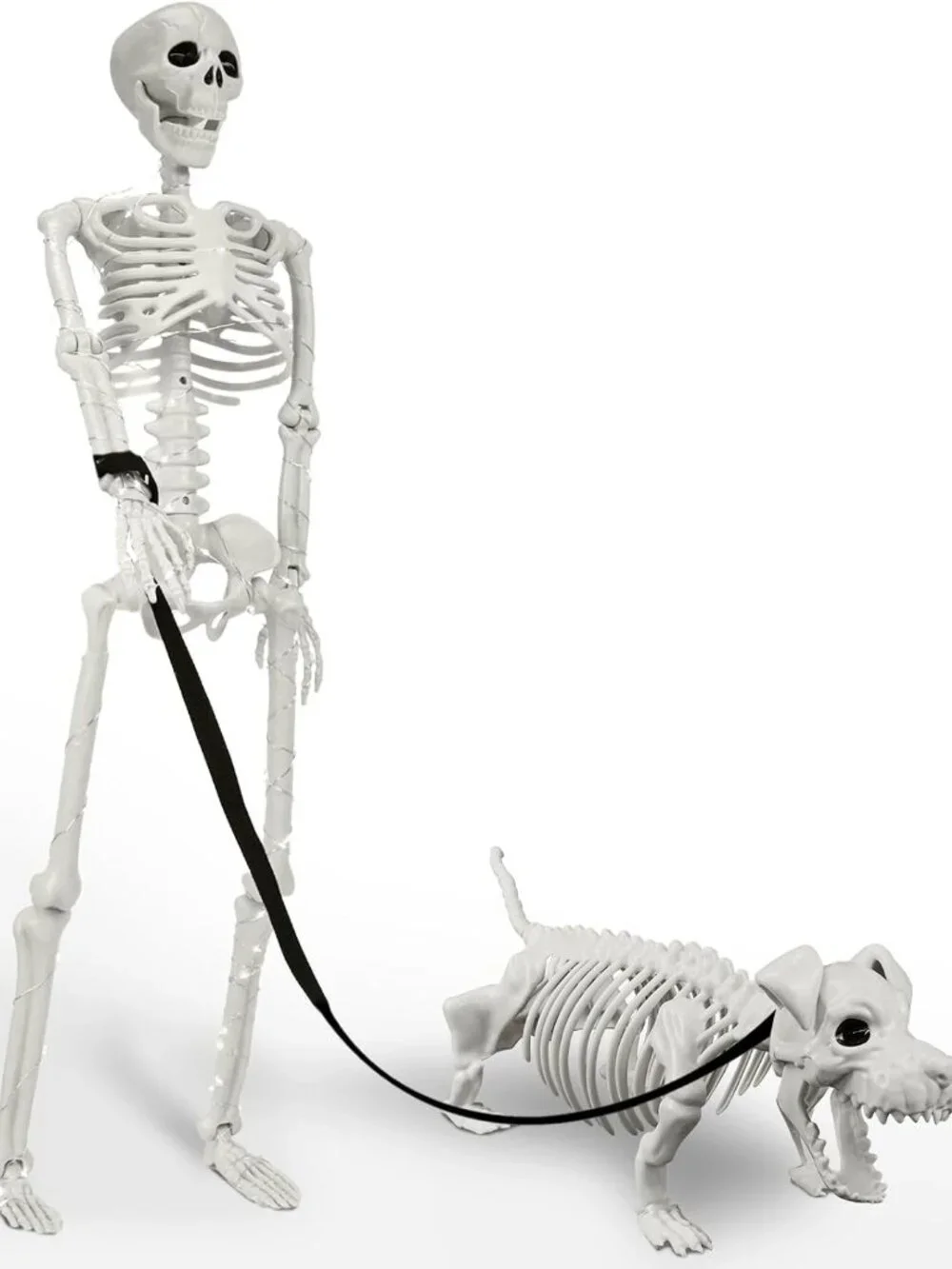 3FT Lighted Human Skeleton w Skeleton Dog Halloween Decor Posable Indoor Outdoor